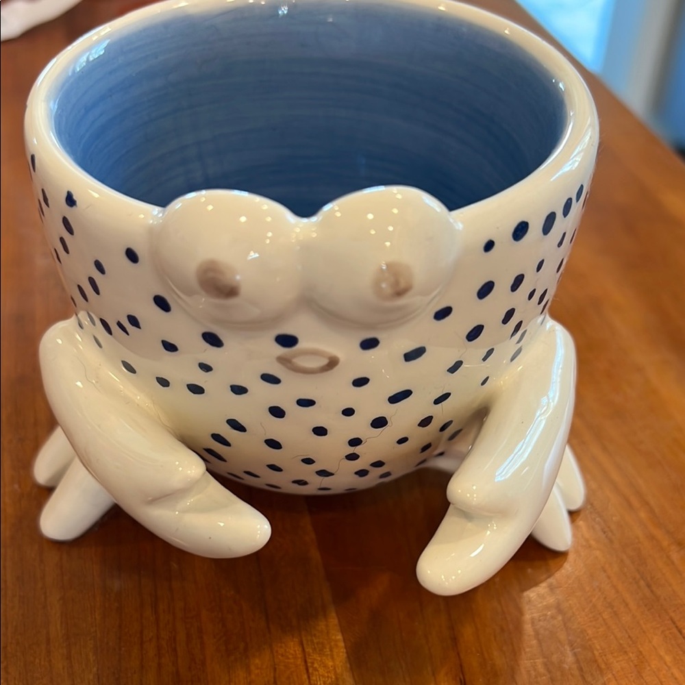 Mud Pie Blue and White Ceramic Bowl with Playful Dots